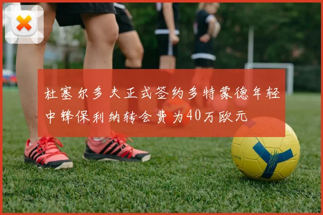 杜塞尔多夫正式签约多特蒙德年轻中锋保利纳转会费为40万欧元