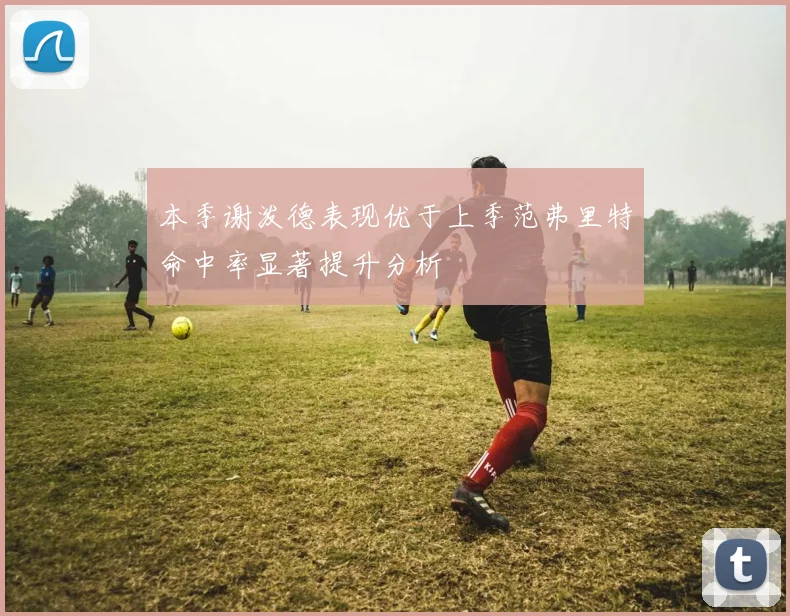 本季谢泼德表现优于上季范弗里特命中率显著提升分析