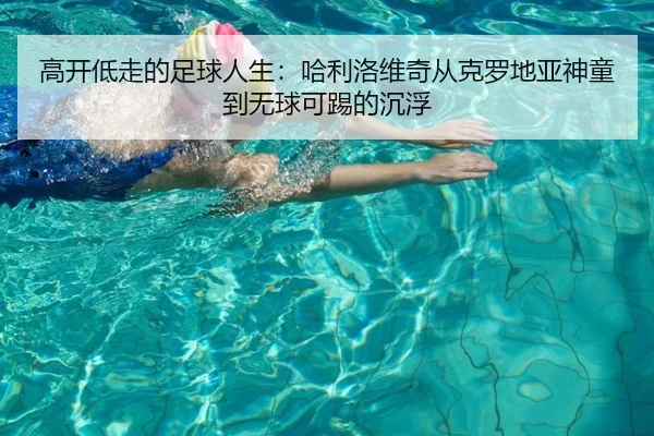 高开低走的足球人生:哈利洛维奇从克罗地亚神童到无球可踢的沉浮